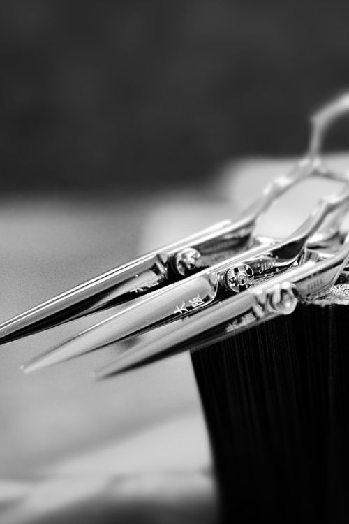   
  Une histoire forgée dans l’innovation...